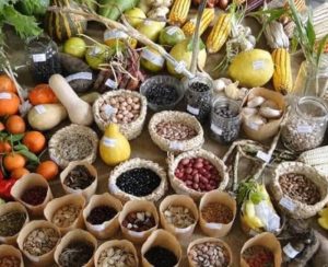 VIII Feira de Trocas e Doações de Mudas e Sementes @ Praça Antônio Carlos