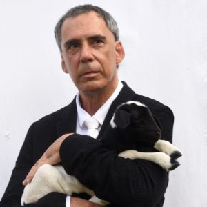 Live Arnaldo Antunes