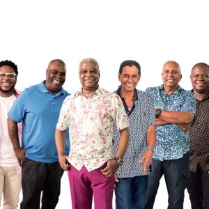 Live Grupo Fundo de Quintal no Youtube