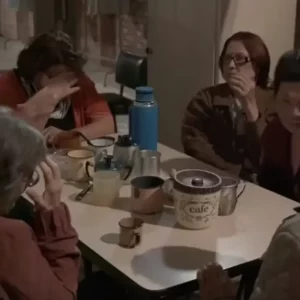 Documentários: nos bastidores da realidade