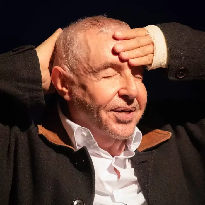 Espetáculo Van Gogh – Online