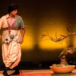 Espetáculo infantil 'O Menino e a Cerejeira' - Online