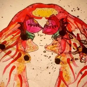 Espetáculo Povos do Aquífero Guarani - Online