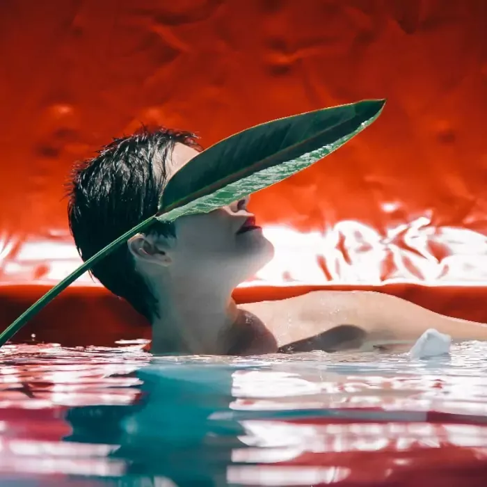 Live Alessandra Leão