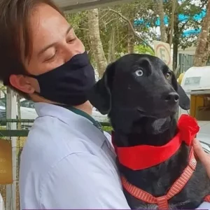 Evento de Adoção Responsável do Canil Municipal @ Independência Shopping