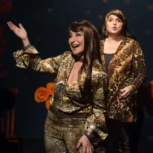 Live Folia Sertaneja