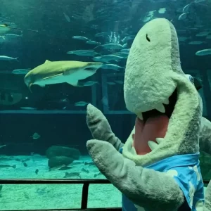 Exposição da Rede Biomar @ AquaRio/RJ