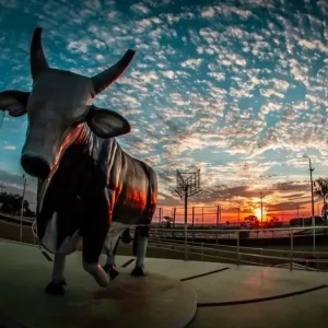 Festa do Peão de Boiadeiro Barretos 2022 @ Barretos/SP