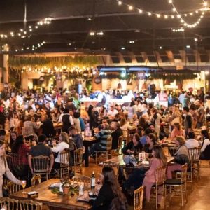 Album de Fotos TESTE