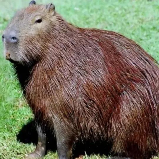 Saiba o que fazer em Juiz de Fora no verão!