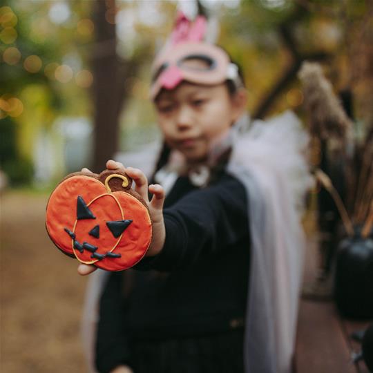 Halloween Yes! @ Rocket Pub