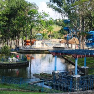 Saiba tudo sobre o funcionamento do Parque Municipal Juiz de Fora!