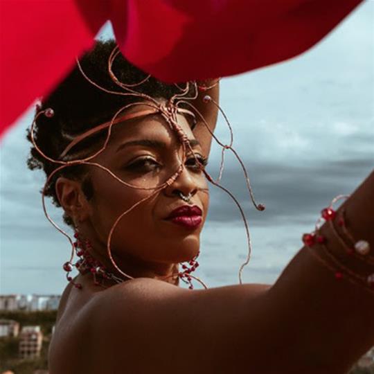 Mostra da Diversidade Cultural @ Juiz de Fora