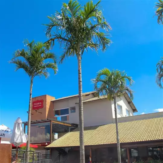 Sunset PPP com Bloco Bembolado @ Picanha, Pimenta & Pinga