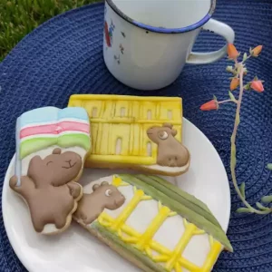 Programa de Capacitação Rede Criativa Memórias JF @ Museu do Crédito Real