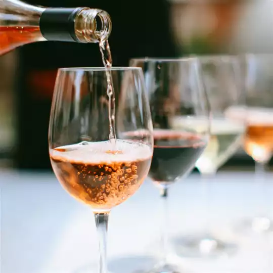 Harmonizando Arte & Vinho em Juiz de Fora @ Pappadog