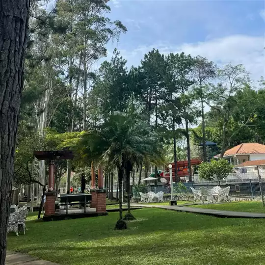 Carnaval 2024 | Programação alternativa em JF – Circuito FOFO