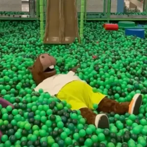 Bosque do Jotinha @ Shopping Jardim Norte