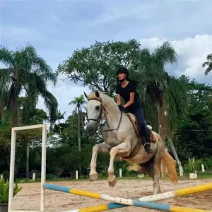 Workshop de Arquearia Montada em Juiz de Fora @ Cavaluz Escola de Equitação