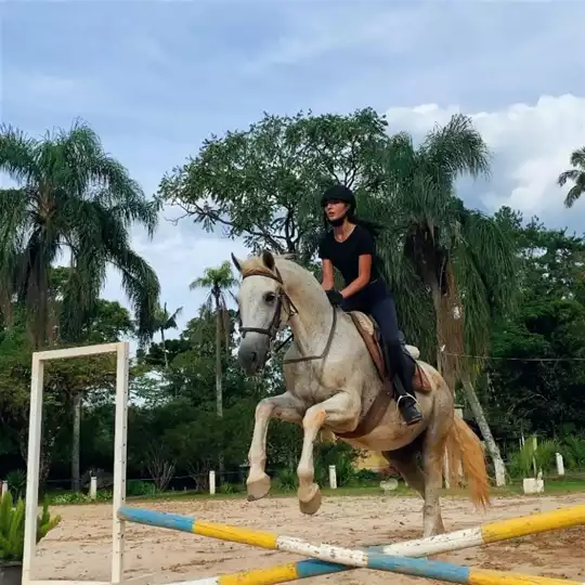 Workshop de Arquearia Montada em Juiz de Fora @ Cavaluz Escola de Equitação