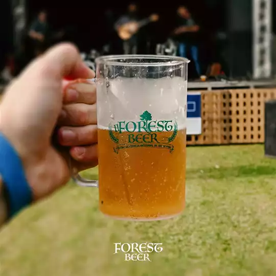 Forest Beer – Festival de Cerveja Artesanal @ Seminário Floresta