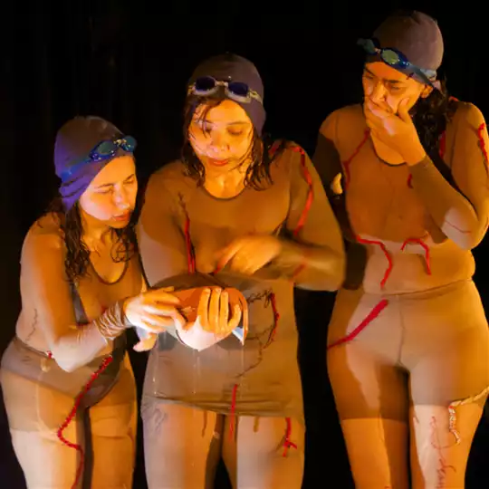 [TEATRO] Sete Pares de Animais Limpos, Um par de Sujas @ Teatro da Sociedade Filarmônica