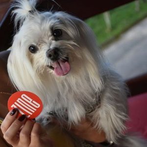 Opções de restaurante pet friendly em JF!
