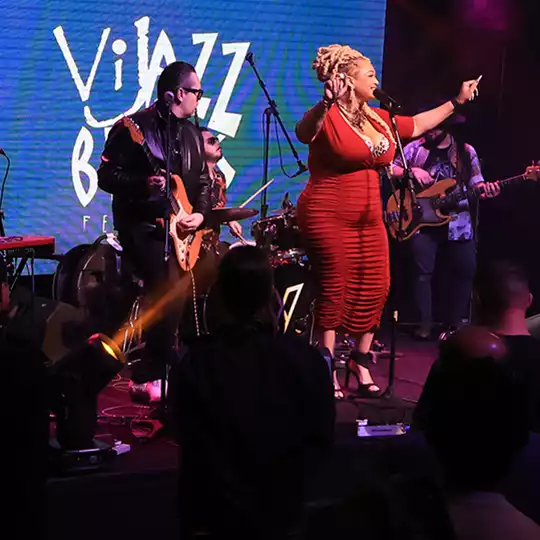 [FOTOS] Vijazz & Blues Festival | Dia 2