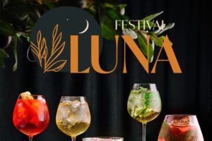 Festival Luna Juiz de Fora @ Faculdade Univértix