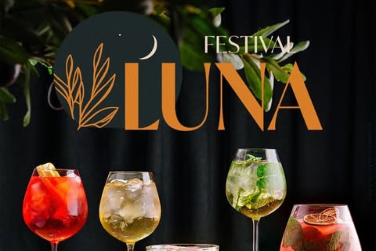 Festival Luna Juiz de Fora @ Faculdade Univértix