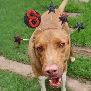 Acessórios e adereços para o Carnaval em JF: onde encontrar?