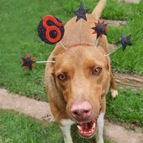 Acessórios e adereços para o Carnaval em JF: onde encontrar?