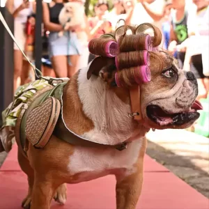 [FOTOS] Blocão JF @ Praça Bom Pastor
