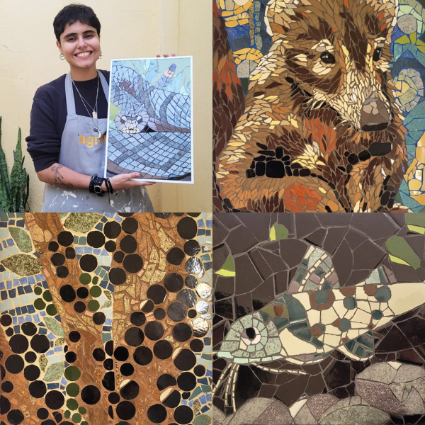 “ETÁ - Recortes da Mata Mineira” | Foto: divulgação 