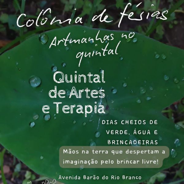 Colônias de Férias em Juiz de Fora: Colônia Artmanhas no Quintal (Foto: reprodução Instagram)