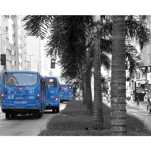 Exposição "Autenti-Cidade: um olhar sobre Juiz de Fora” | Foto: Divulgação