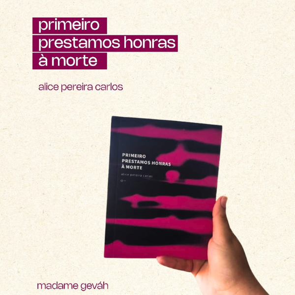 Lançamento livro Alice Pereira Carlos | Foto: Divulgação