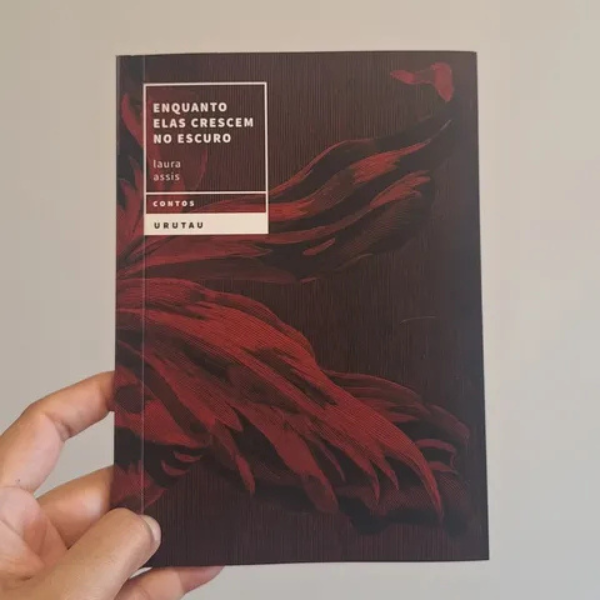 Lançamento livro Laura Assis | Foto: reprodução Instagram/@lauraassis