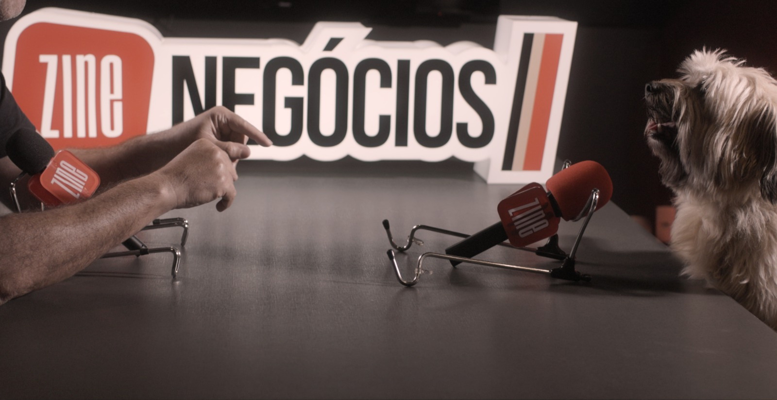 Curta-metragem "Cachorro é Show"