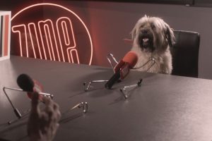 Curta-metragem “Cachorro é Show” já tem data de estreia em JF!