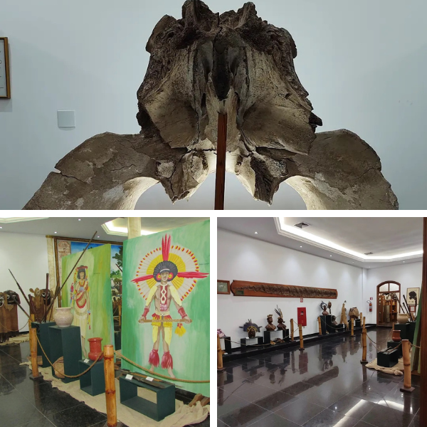 Museus em JF: Museu de Etnologia Indígena e História Natural | Fotos: Reprodução Instagram